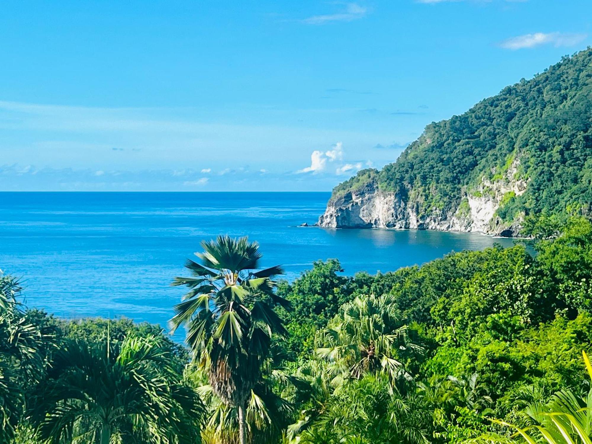 Vue Mer/3Beds/Piscine/Wifi/900 Metres De La Plage Deshaies Buitenkant foto