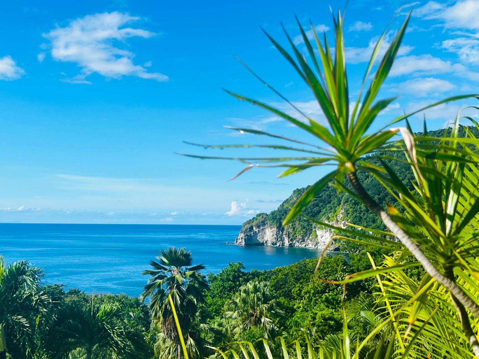 Vue Mer/3Beds/Piscine/Wifi/900 Metres De La Plage Deshaies Buitenkant foto